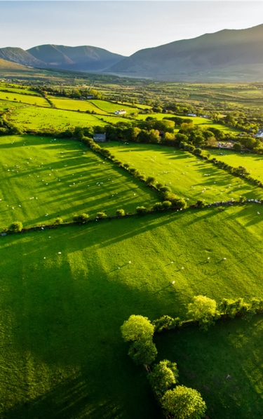 Paisaje del campo irlandés