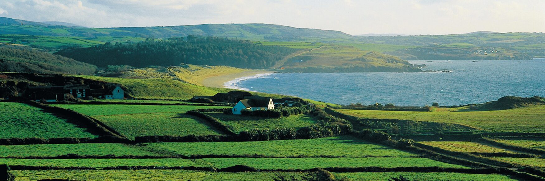 The Great St Patrick’s Day Feast