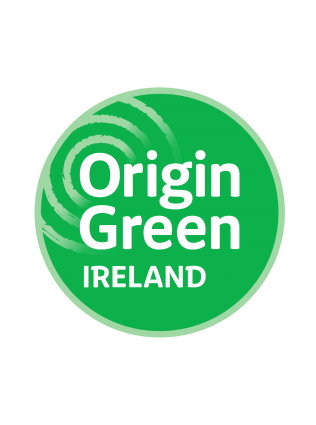 Logo Origin Green