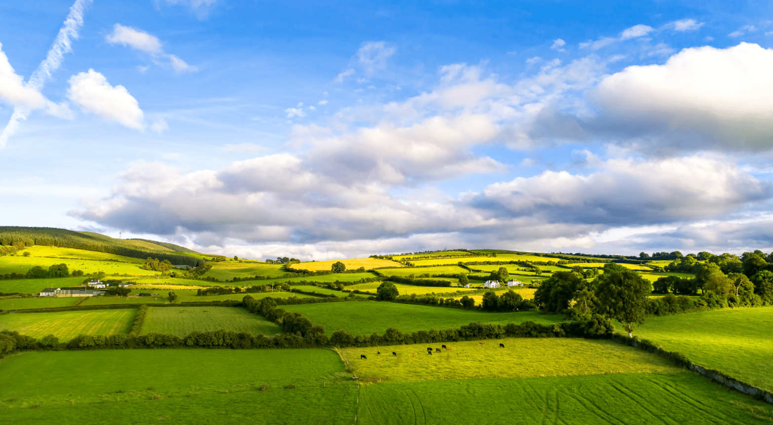 Paisaje del campo irlandés