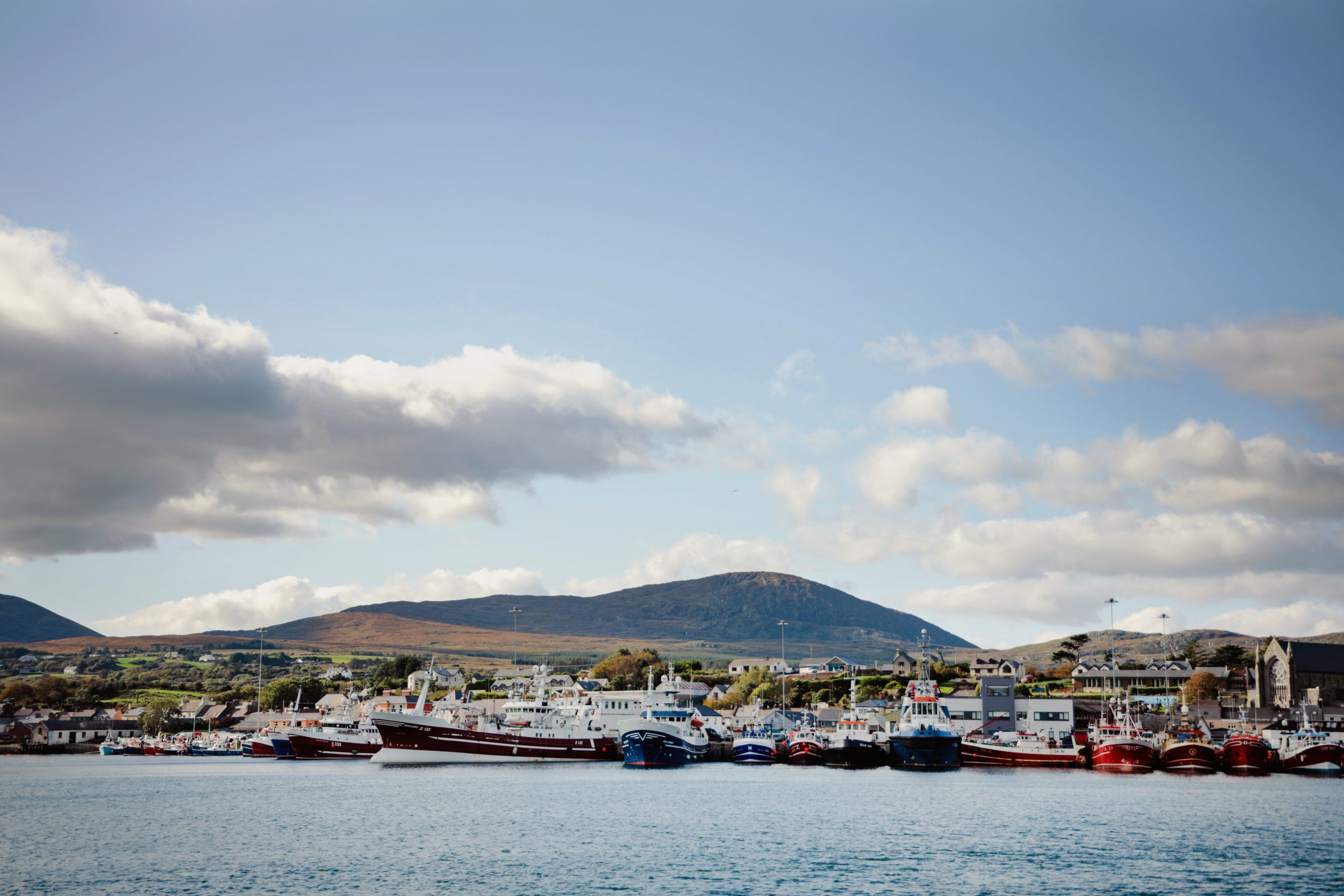 Barcos en la marina